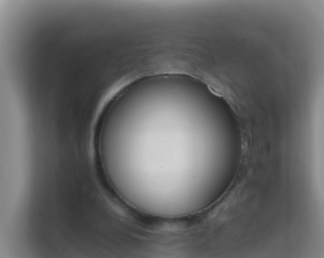 X0000111660248200907241157