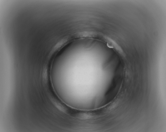 X0000111660250200907241157