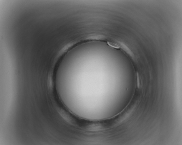 X0000111660252200907241157