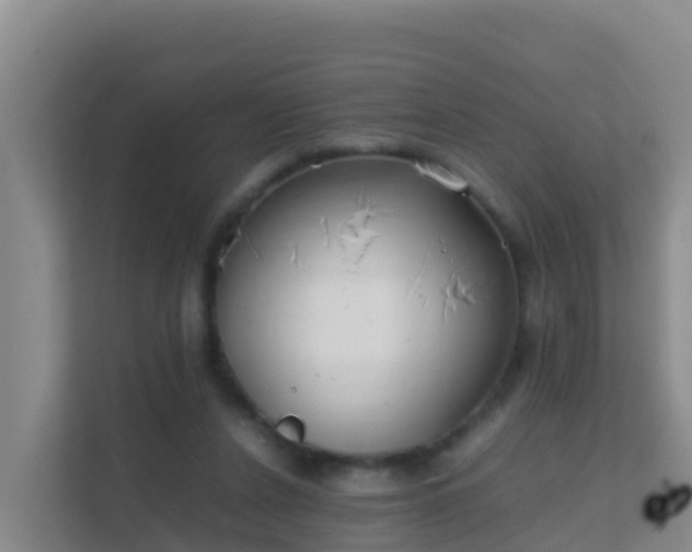 X0000111660256200907241157