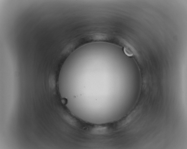X0000111660257200907241157