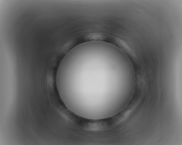 X0000111660259200907241157