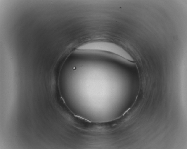 X0000111660260200907241157