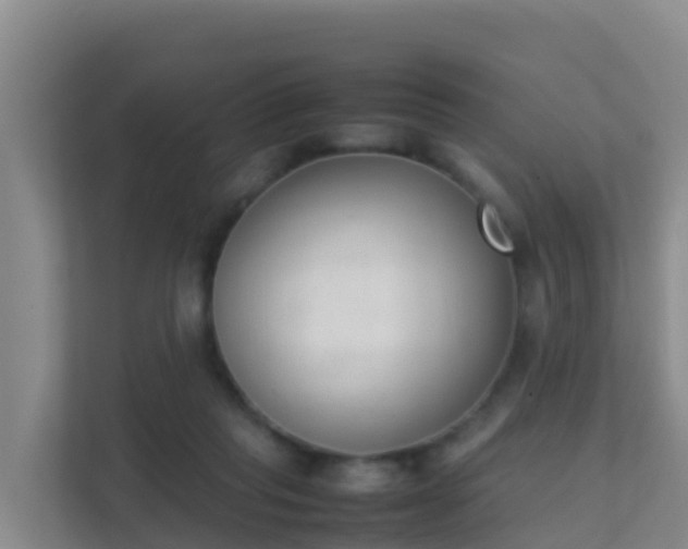 X0000111660261200907241157
