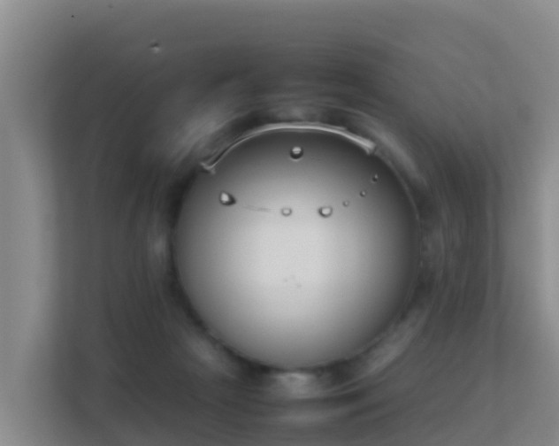 X0000111660265200907241157