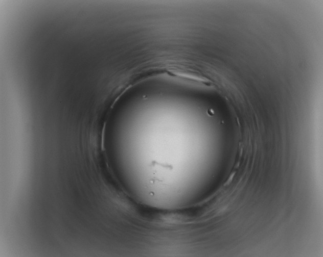 X0000111660268200907241157