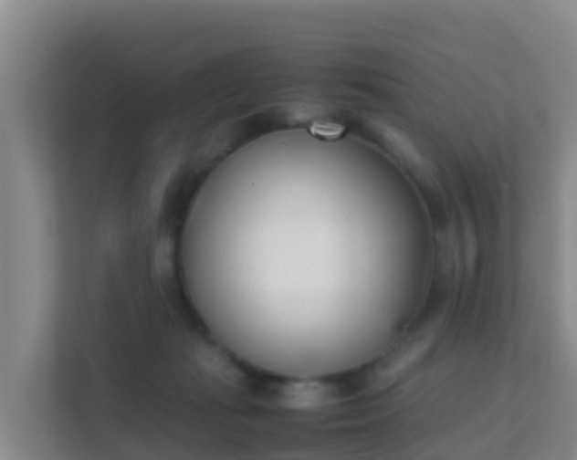 X0000111660269200907241157