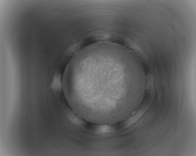 X0000111660287200907241158