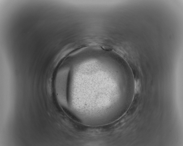X0000111660291200907241157