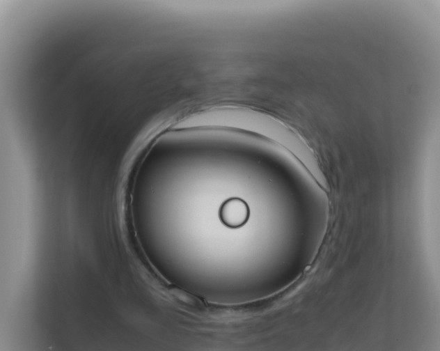X0000111660293200907241157