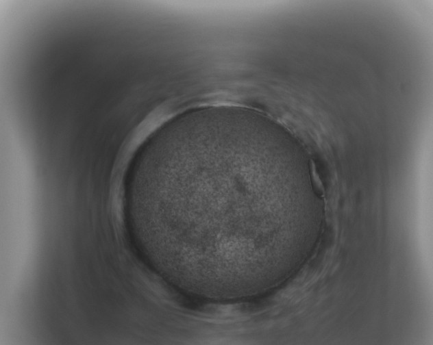 X0000111660295200907241157