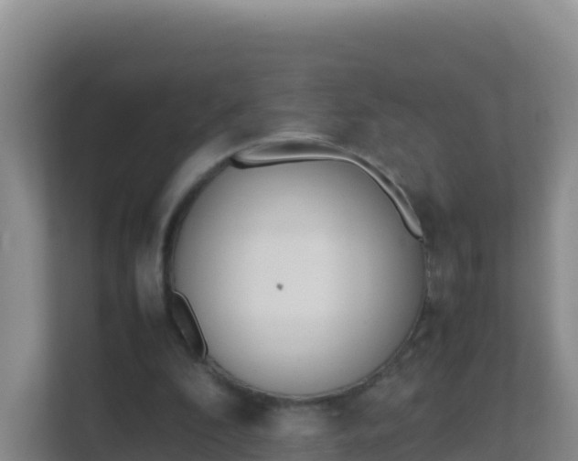 X0000111660296200907241157