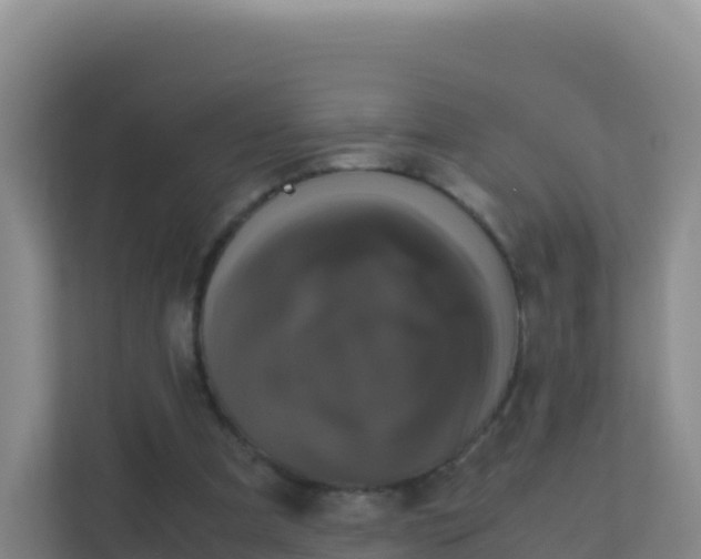 X0000111660297200907241157