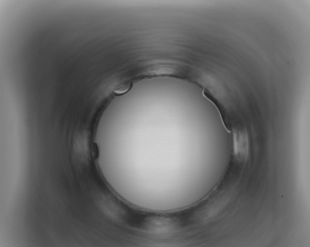 X0000111660300200907241157