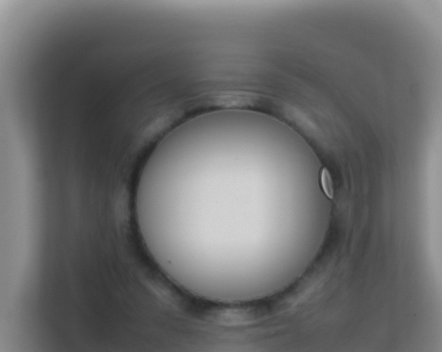X0000111660303200907241157