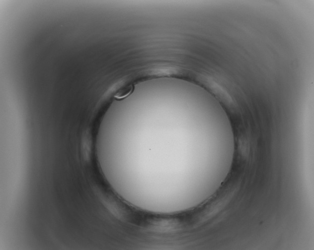X0000111660304200907241157