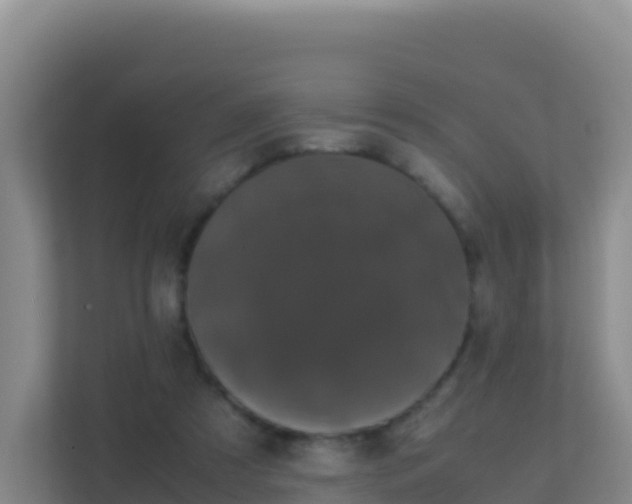 X0000111660305200907241157