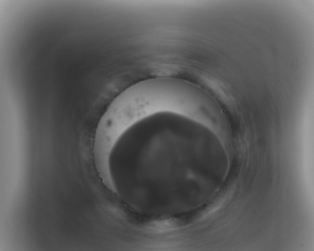 X0000111660307200907241157
