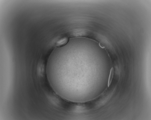 X0000111660308200907241157