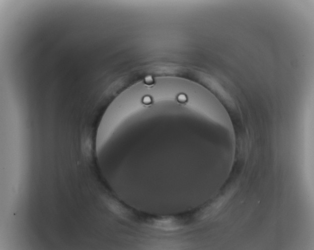 X0000111660309200907241157