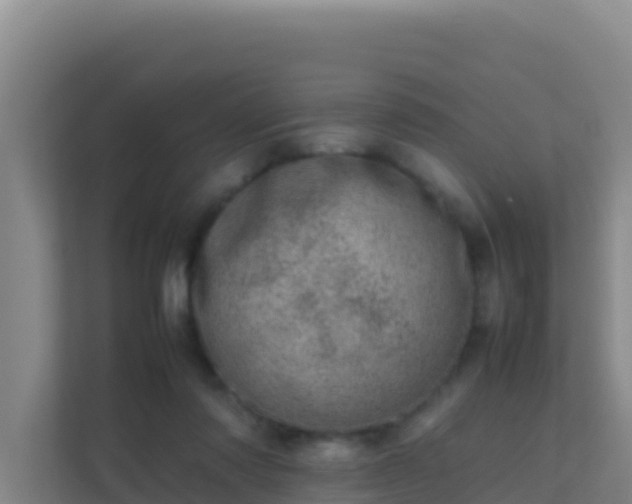 X0000111660310200907241157