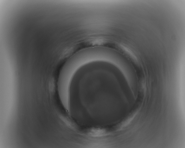 X0000111660311200907241157