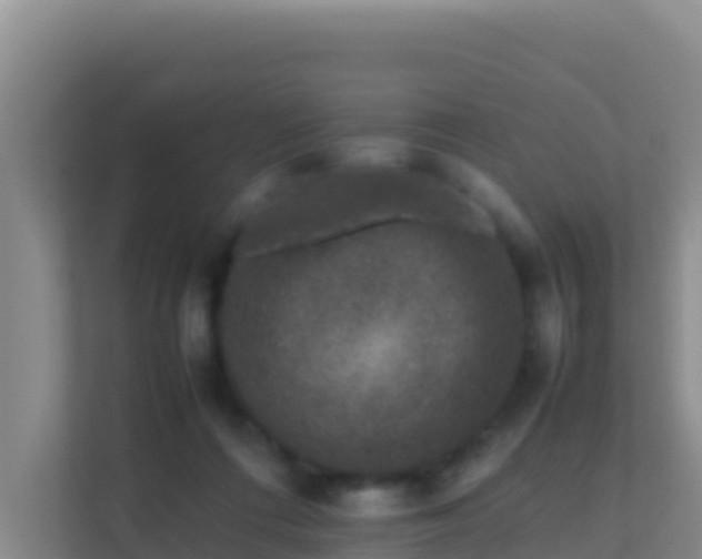 X0000111660312200907241157
