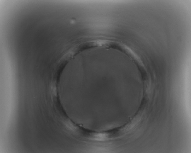 X0000111660313200907241157