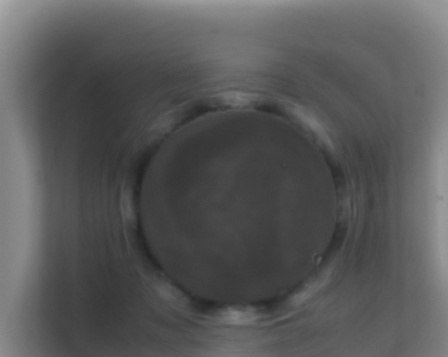 X0000111660317200907241157
