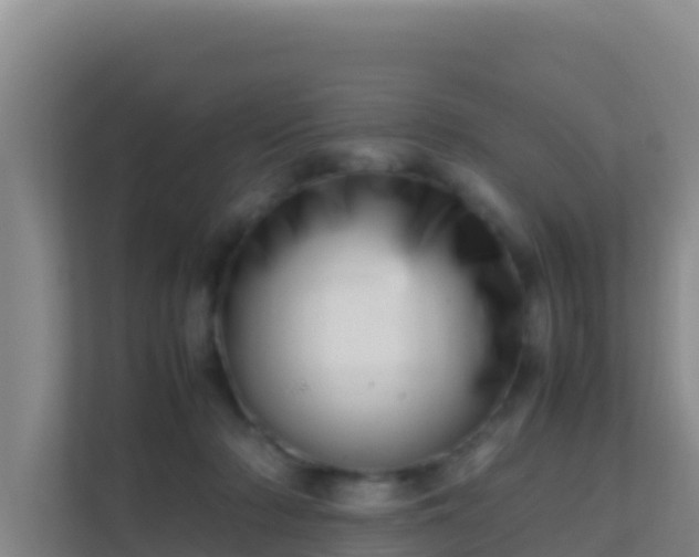 X0000111660318200907241157