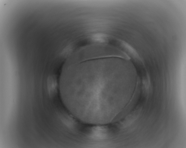 X0000111660320200907241157