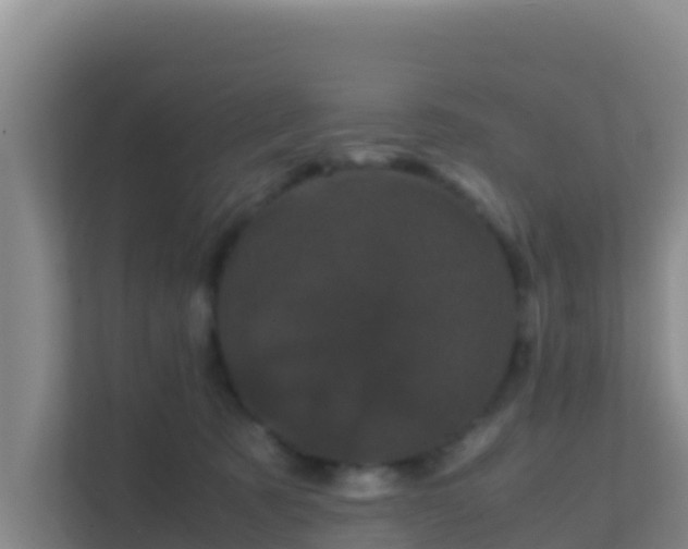 X0000111660321200907241157