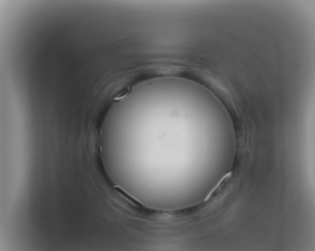 X0000111660325200907241157