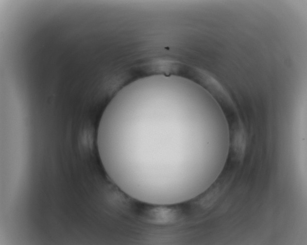 X0000111660326200907241157