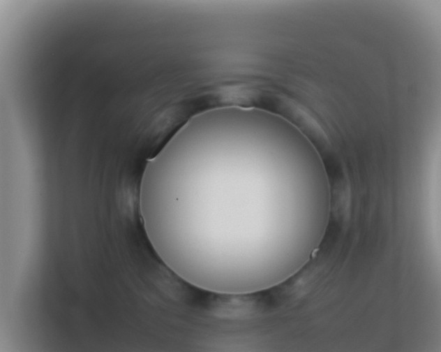 X0000111660329200907241157