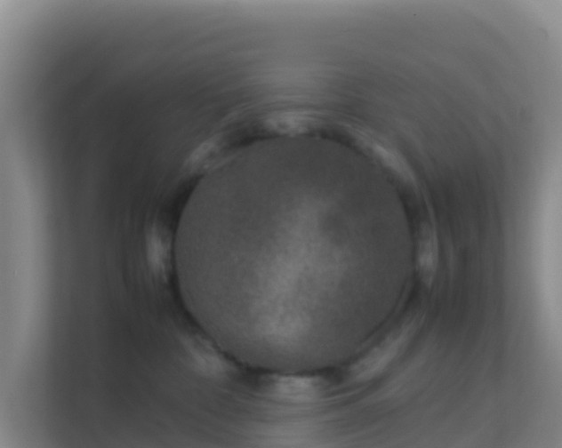 X0000111660332200907241157