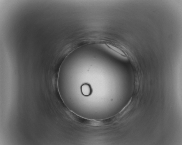 X0000111660333200907241157