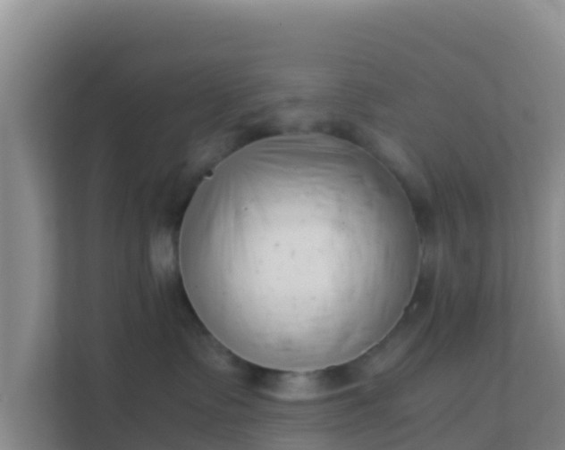 X0000111660335200907241157
