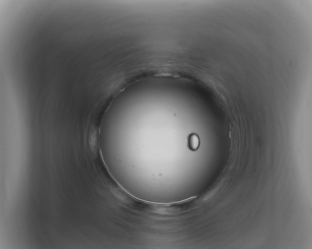 X0000111660336200907241156