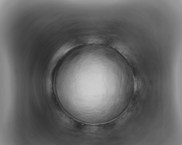 X0000111660339200907241156