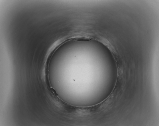 X0000111660340200907241156