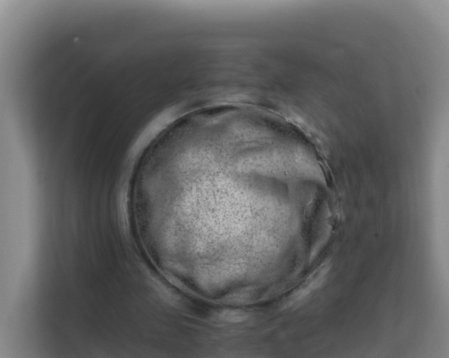 X0000111660341200907241156