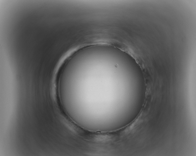 X0000111660342200907241156