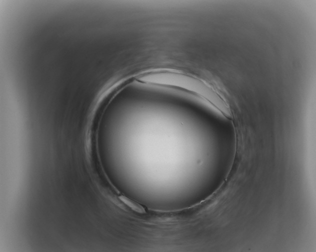 X0000111660344200907241156