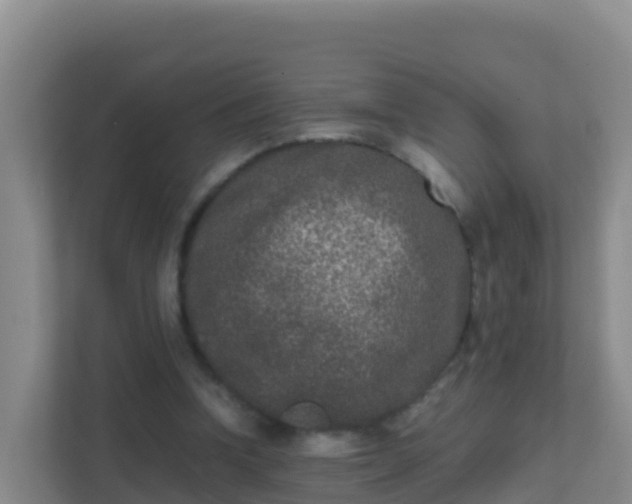 X0000111660346200907241156