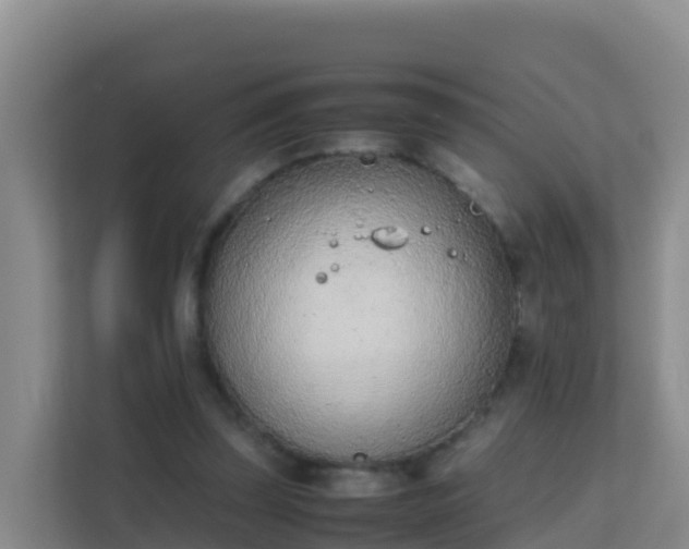 X0000111660347200907241156
