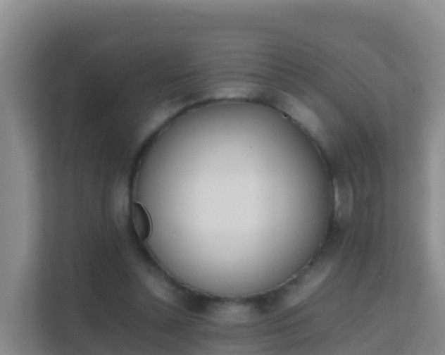 X0000111660348200907241156