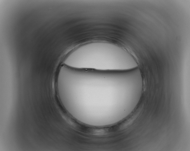 X0000111660349200907241156