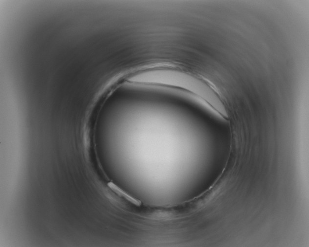 X0000111660350200907241156