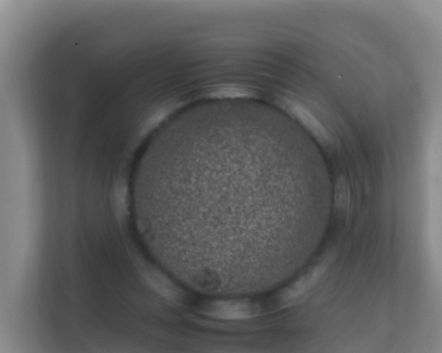 X0000111660351200907241156